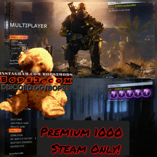 #4 Bo3 Premium 1000 Pack - Steam Only