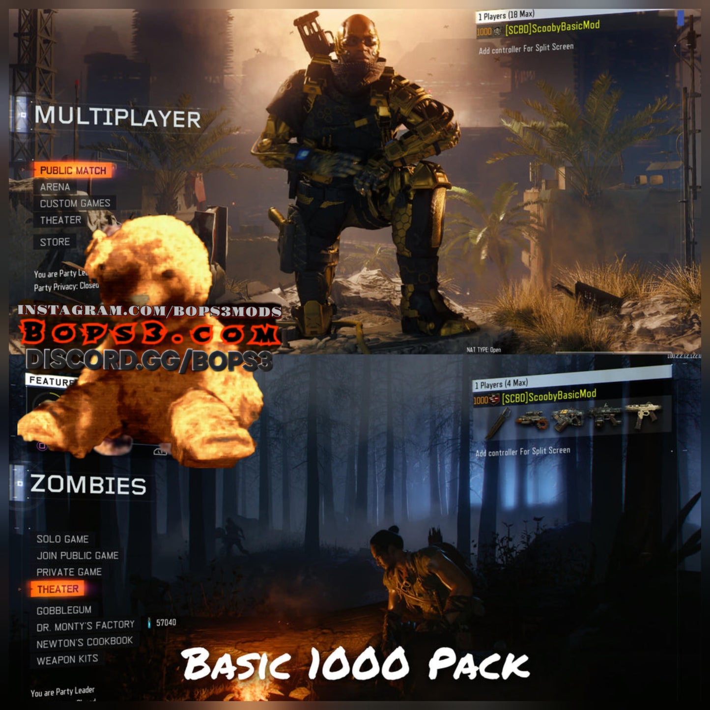 #2 Bo3 Basic 1000 Pack - Playstation 4/5